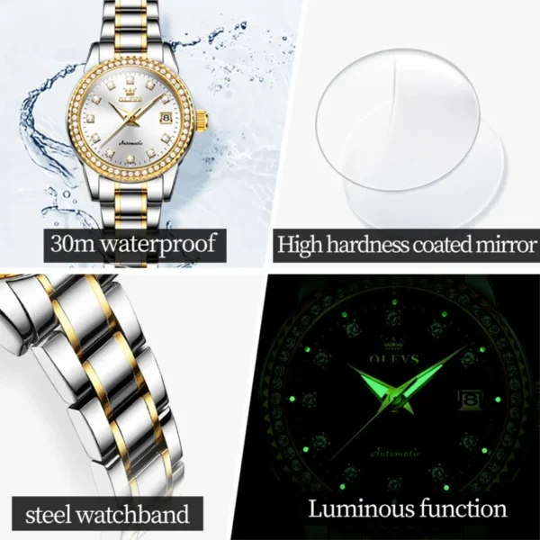 Olevs 7003 fashion mechanical watch round-dial stainless steel watchband wristwatch calendar luminous watch Man - Image 3