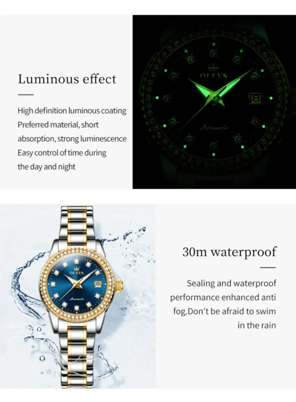 Olevs 7003 fashion mechanical watch round-dial stainless steel watchband wristwatch calendar luminous watch Man - Image 22