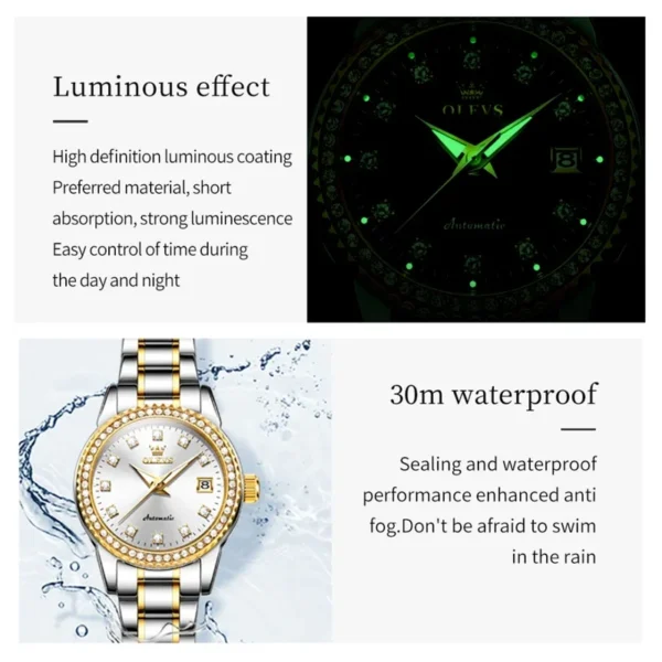 Olevs 7003 fashion mechanical watch round-dial stainless steel watchband wristwatch calendar luminous watch Man - Image 4